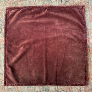 Pottery Barn Sham (20”x20”)